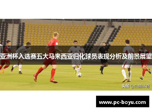 亚洲杯入选赛五大马来西亚归化球员表现分析及前景展望