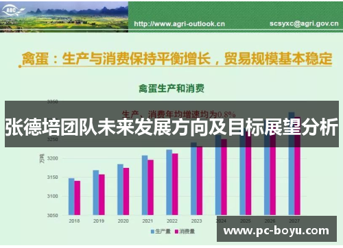 张德培团队未来发展方向及目标展望分析