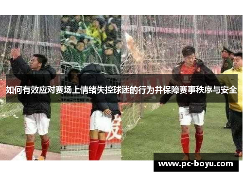 如何有效应对赛场上情绪失控球迷的行为并保障赛事秩序与安全
