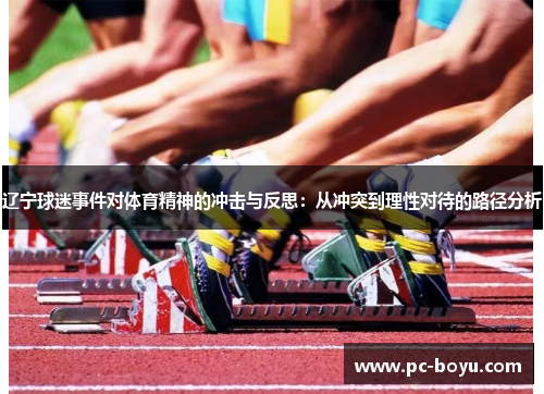 辽宁球迷事件对体育精神的冲击与反思：从冲突到理性对待的路径分析