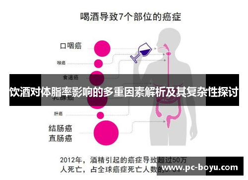 饮酒对体脂率影响的多重因素解析及其复杂性探讨