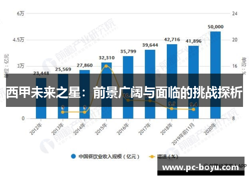 西甲未来之星：前景广阔与面临的挑战探析