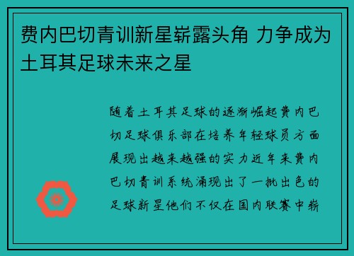 费内巴切青训新星崭露头角 力争成为土耳其足球未来之星