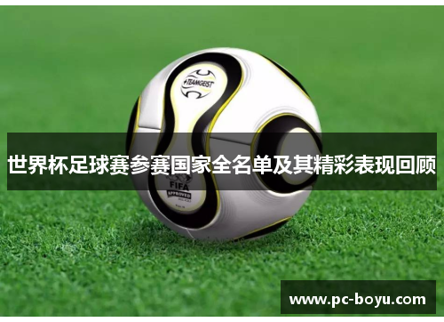 世界杯足球赛参赛国家全名单及其精彩表现回顾