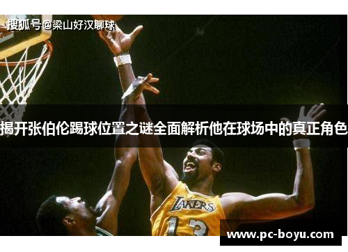 揭开张伯伦踢球位置之谜全面解析他在球场中的真正角色