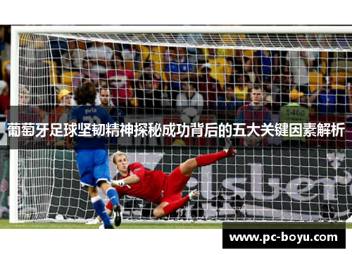 葡萄牙足球坚韧精神探秘成功背后的五大关键因素解析